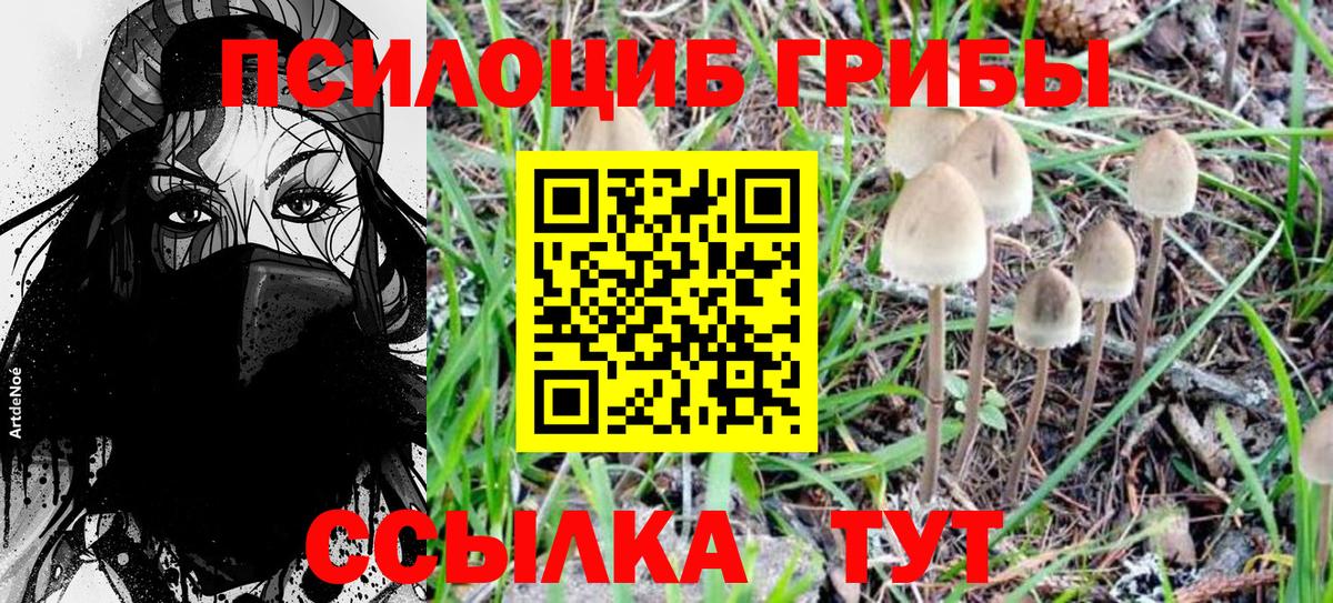 Галлюциногенные грибы GOLDEN TEACHER Морозовск